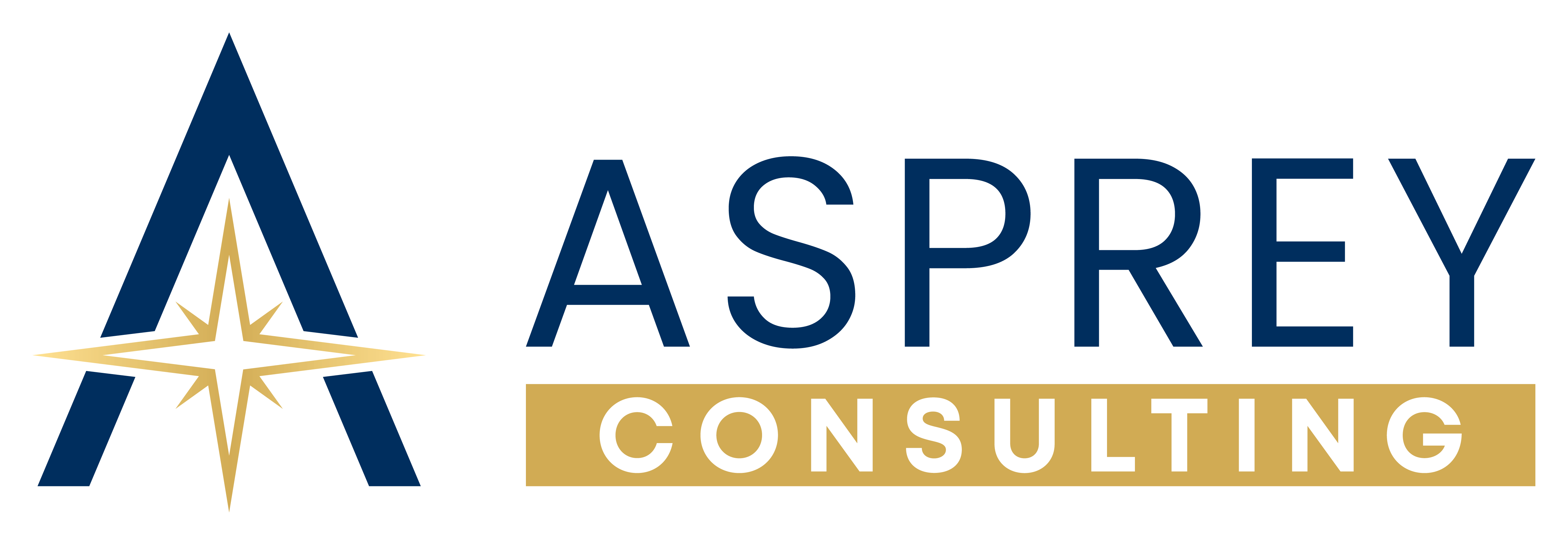 Asprey Consulting - Project Management Companies - Program Management, Portfolio Strategy, Leadership Development, Business Relationship Management
